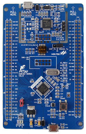 ESK32-30501 - Holtek